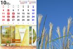 2026年10月の営業日程のご案内